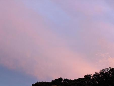 ピンク色の空 夕焼け,夕空,空の写真素材