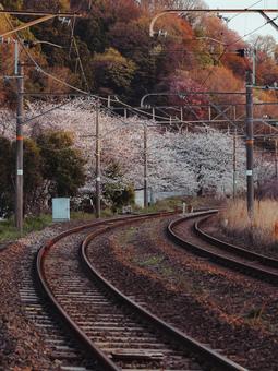 線路 線路の写真