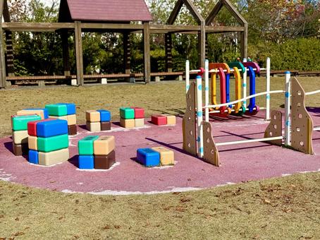 秋の昼間　福井少年運動公園　遊具 秋の昼間,福井少年運動公園,遊具の写真素材