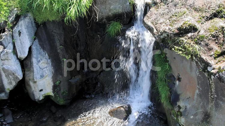 新緑の頃の芝川の流れ　小さな滝 芝川,富士山湧水,滝の写真素材