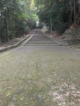 石畳の道の先の石段 階段,石段,石の写真素材