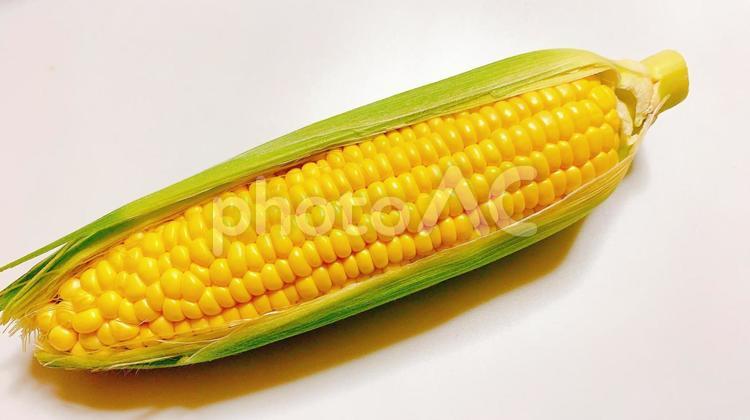 とうもろこし　穀物　夏野菜　イメージ　素材3 とうもろこし,トウモロコシ,コーンの写真素材