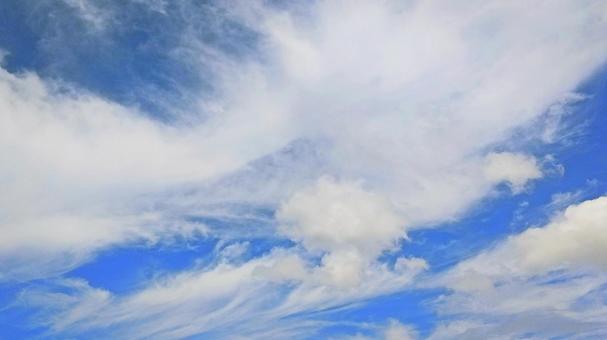 夏空 夏空 夏空,空,青空の写真素材