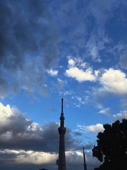 Blue sky, Skytree, clouds, JPG