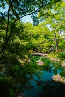 【和歌山】和歌山城 2025 【和歌山】和歌山城 2025の写真