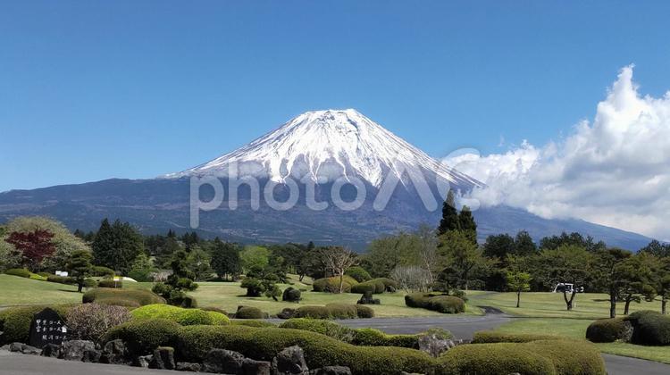 富士山 富士山,mt.fuji,山の写真素材