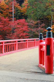 Photo, waiting for the moon bridge, kaohsikei, sightseeing, 