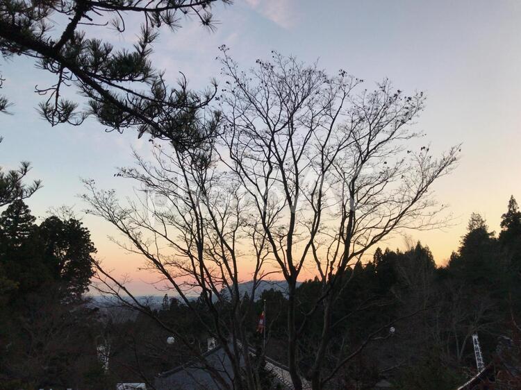 里山の夕日 木,風景,自然の写真素材