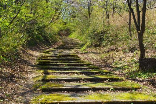 山道の階段 山道の階段 階段,山道,登山道の写真素材