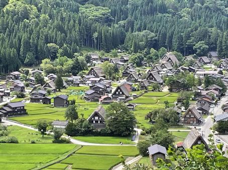 合掌造りの里、白川郷 合掌造りの里、白川郷 白川郷,合掌造り,世界遺産の写真素材