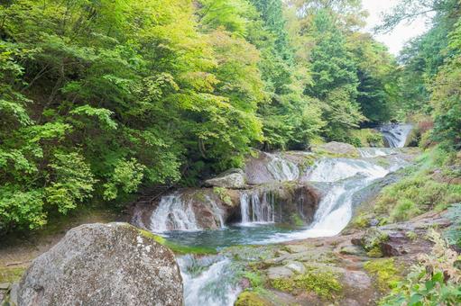 蓼科 おしどり隠しの滝 蓼科 おしどり隠しの滝 横谷渓谷,おしどり隠しの滝,渋川の写真素材