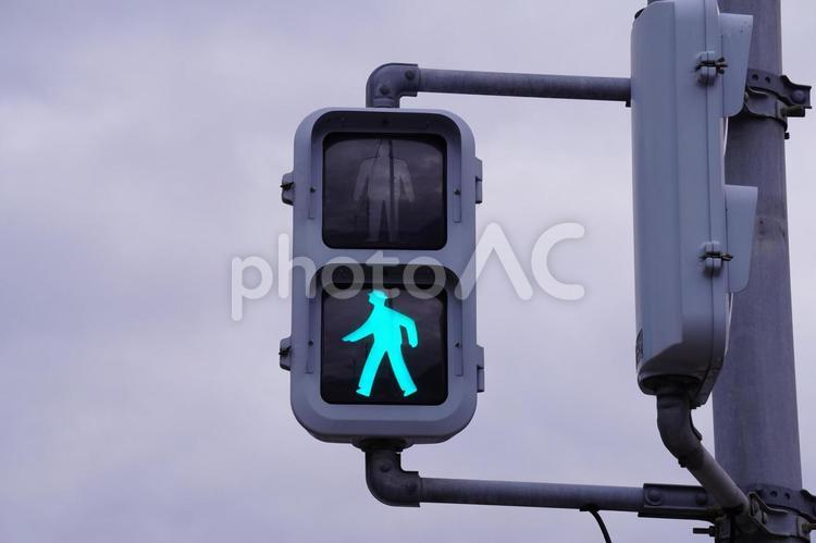 歩行者用信号機 歩行者用信号機,led,灯火の写真素材