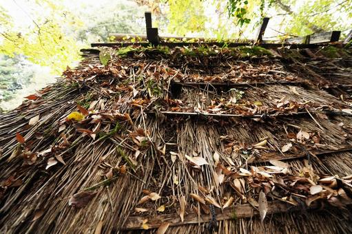 熊本 黒川温泉 落ち葉の積もった茅葺屋根 茅葺屋根,かやぶき屋根,屋根の写真素材