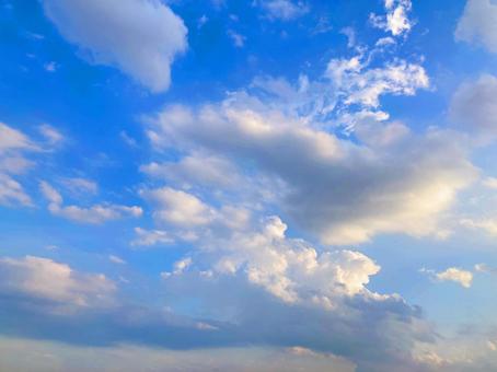 夏空 夏空の写真