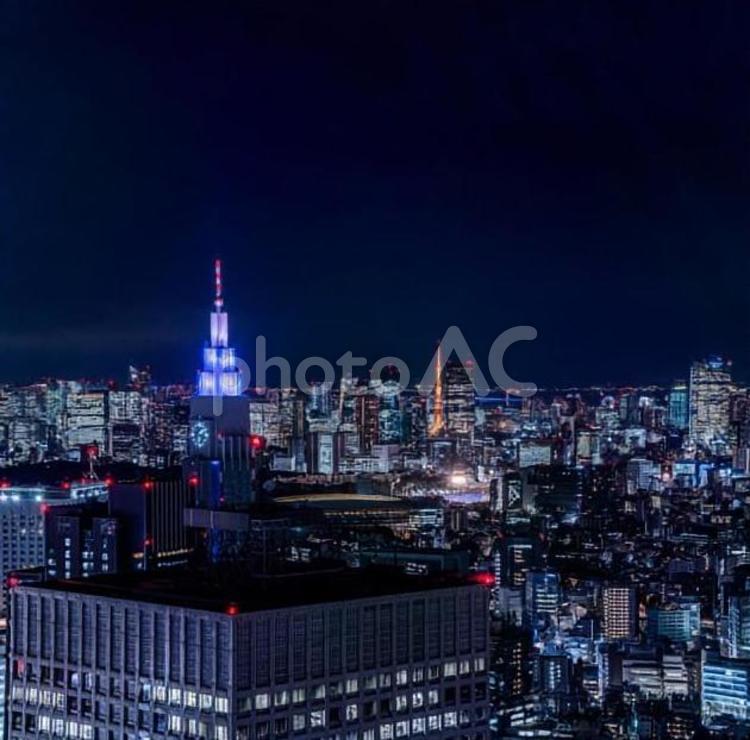 都庁展望台から見る新宿の夜景 新宿,夜景,全景の写真素材