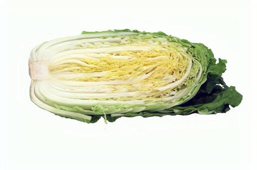はくさいなか はくさい,野菜,鍋の写真素材