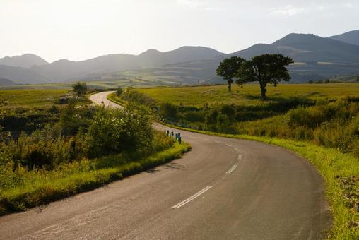 ナイタイ高原の道 ナイタイ高原の道の写真