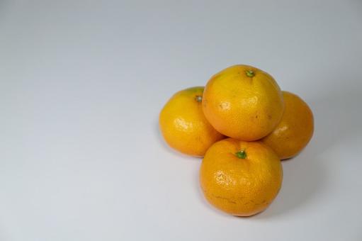 白背景に積まれた新鮮なみかんの写真