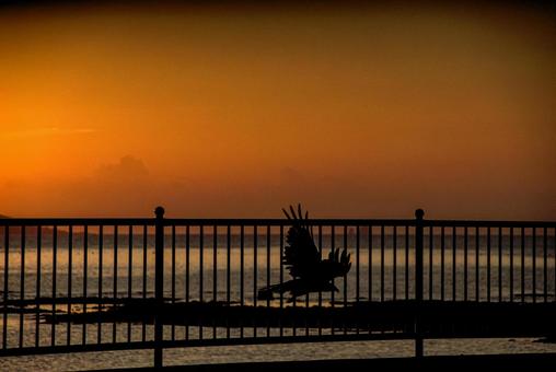 <Goto scenery> Summer sunrise over the sea and a black kite, JPG <Goto scenery> Summer sunrise over the sea and a black kite, JPG