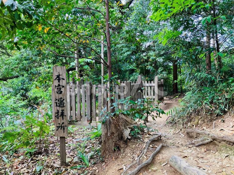 ことのまま八幡宮　本宮遥拝所　 事任八幡宮,ことのまま八幡宮,静岡県掛川市の写真素材