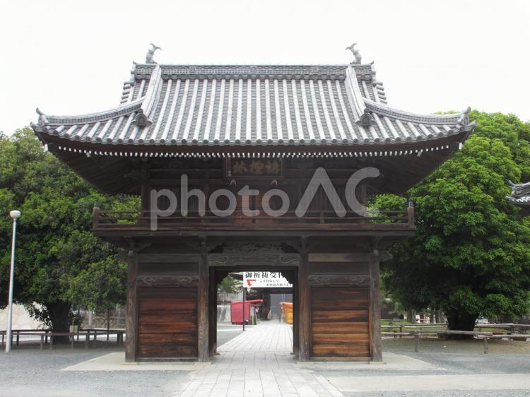 愛知県-妙厳寺-山門-境内側 妙厳寺,寺,円福山の写真素材