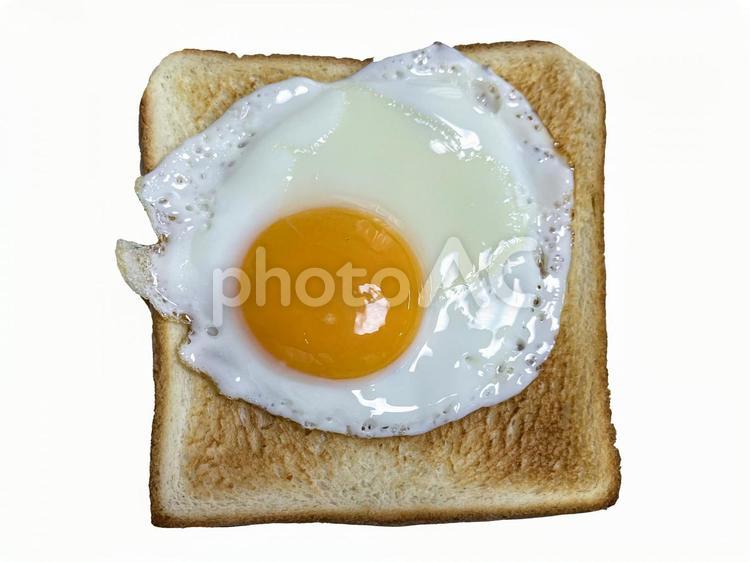 トースト（切り抜き済PSD） トースト,食パン,パンの写真素材