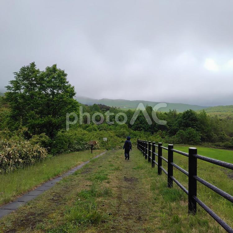 小雨の中合羽を着て歩く人 登山,山,雨の写真素材