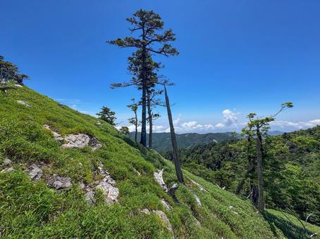 大台ヶ原 大台ヶ原 日出ヶ岳,大台ヶ原,奈良の写真素材