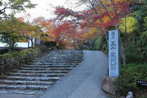 三千院の門 三千院の門 紅葉,秋,風景の写真素材