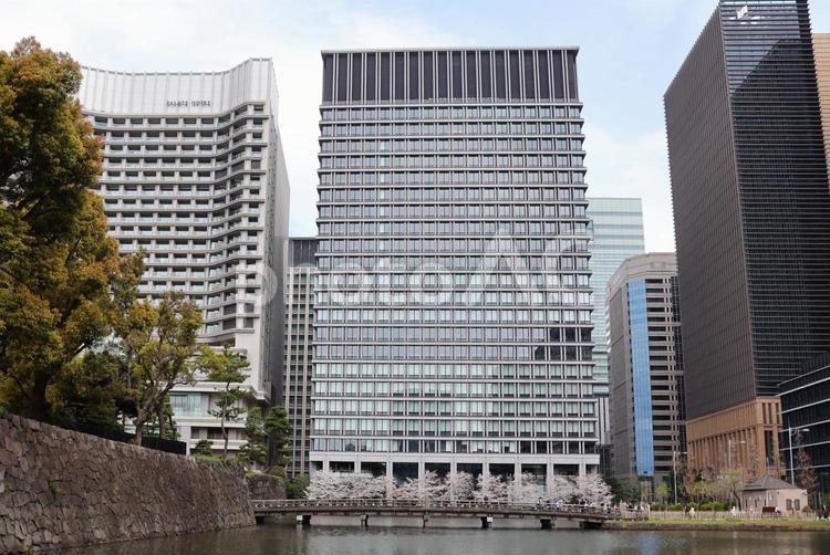 ４月上旬の皇居外苑の桜 背景,桜,花の写真素材
