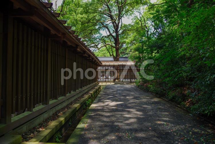 明治神宮の建物 明治神宮,東京,神社の写真素材
