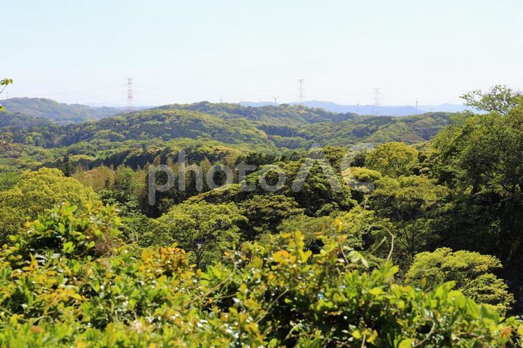名護屋城跡から南側の山並みを望む 名護屋城跡,佐賀県,森の写真素材