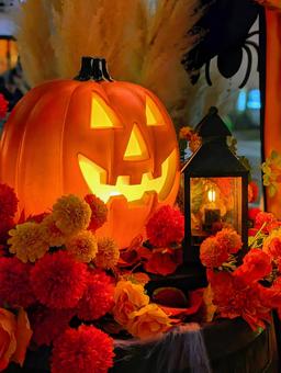 ジャックオランタンとマリーゴールド ジャックオランタンとマリーゴールド ハロウィン,ハロウィーン,かぼちゃの写真素材
