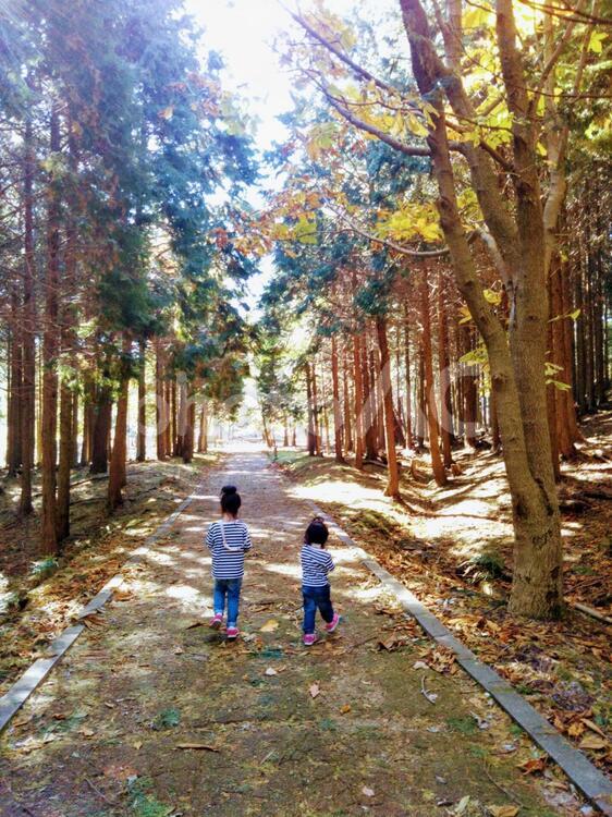 秋の散歩 晴れ,風景,公園の写真素材