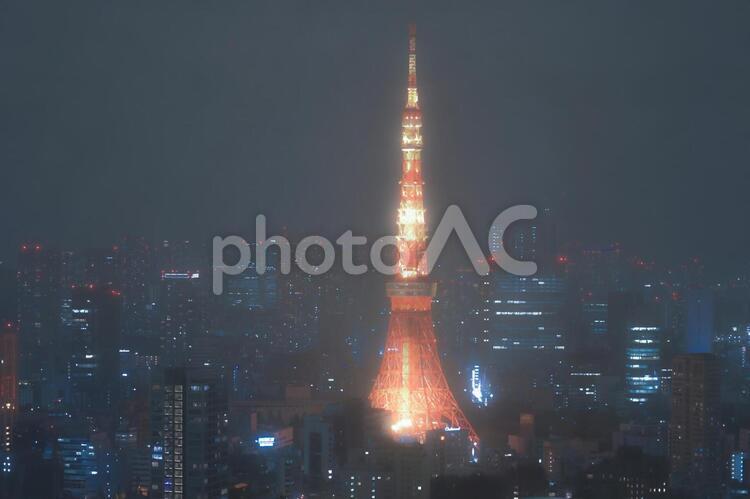 霧に包まれた東京タワーと都市風景 霧,東京タワー,濃霧の写真素材