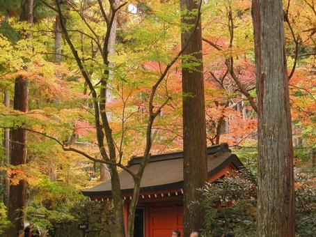 京都 大原 京都 大原の写真