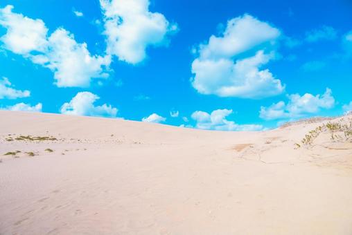【鳥取】青空と鳥取砂丘の写真
