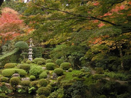 京都 大原 京都 大原の写真