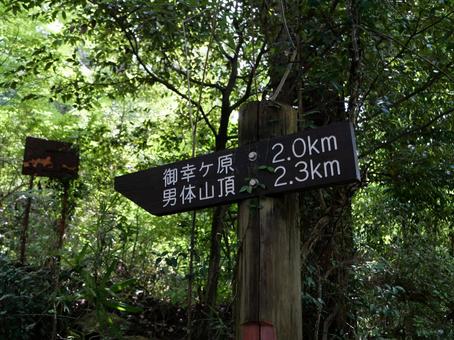 筑波山の登山道 筑波山の登山道の写真