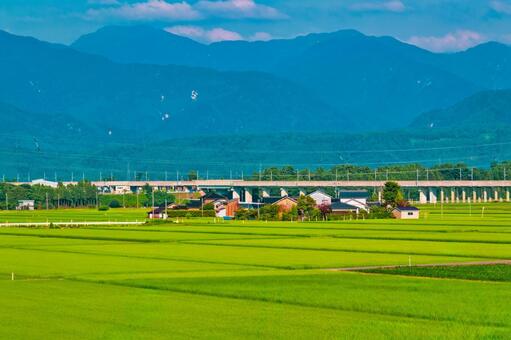 新幹線高架下で広がる、のどかな農村風景 富山県,下新川郡,入善町の写真素材