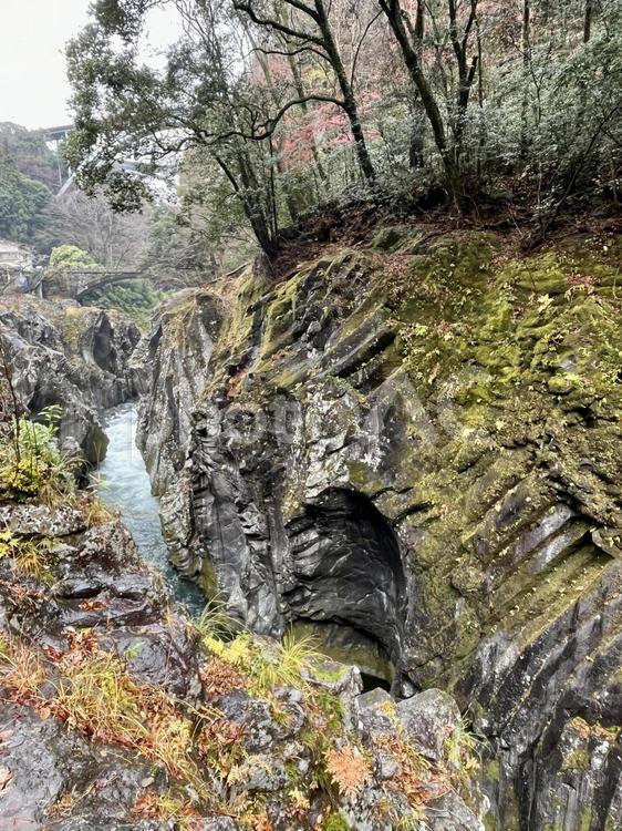 苔が覆う秋の崖 風景,自然,秋の写真素材