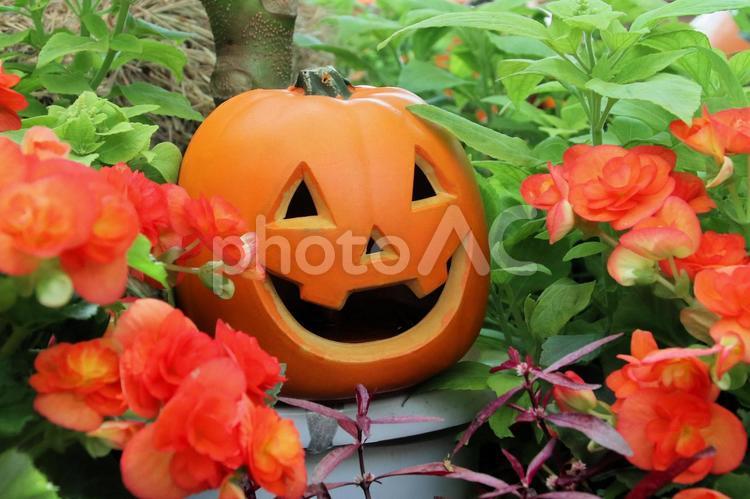 ハロウィンイメージ飾りつけ ハロウィン,ハロウィーン,イメージの写真素材