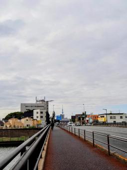 一之江橋&スカイツリー(江戸川区一之江) 一之江橋&スカイツリー(江戸川区一之江) 秋,一之江橋,東京スカイツリーの写真素材