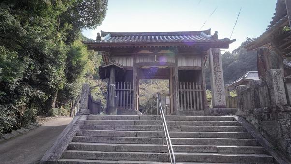 第11番札所 藤井寺 山門 第11番札所 藤井寺 山門 藤井寺,お遍路,四国88ヶ所の写真素材