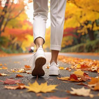 紅葉の道を散歩 紅葉の道を散歩の写真