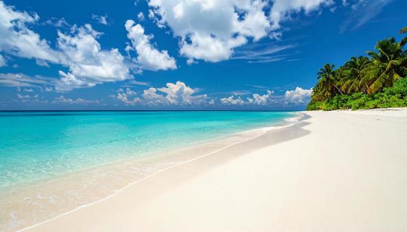 南国の青い海 ヤシの木の生えたビーチ 南国の青い海 ヤシの木の生えたビーチの写真