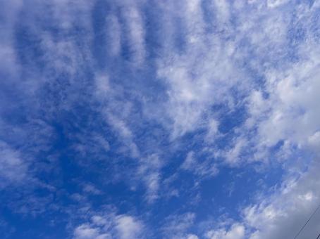 【風景写真】夏空 【風景写真】夏空の写真