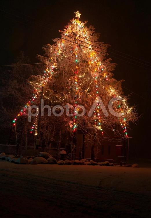 クリスマス　２　（深山のホワイトクリスマス） クリスマス,クリスマスツリー,雪の写真素材