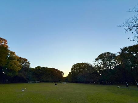 たそがれ時の砧公園 青空,空,ブルースカイの写真素材