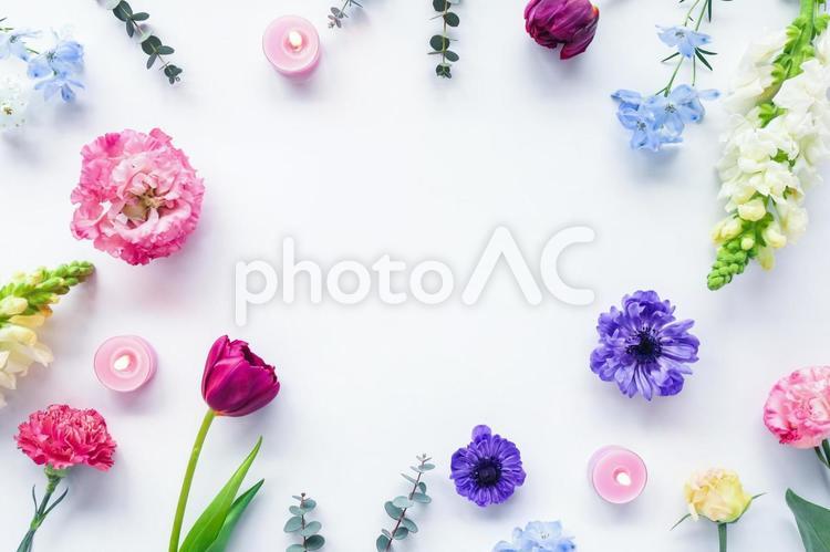 春の花たちの背景 花,春,フレームの写真素材